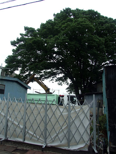 DSCF1791.jpg