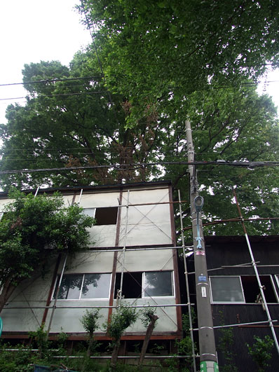 DSCF1798.jpg
